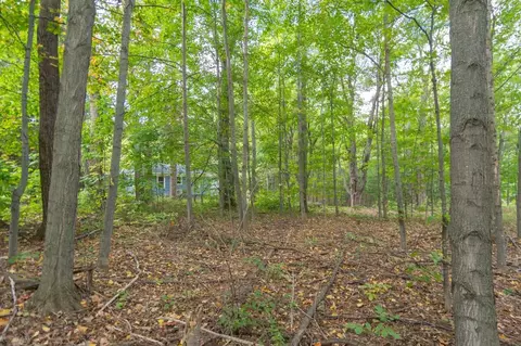 2998 S Good Hbr, Cedar, MI 49621 photo 30