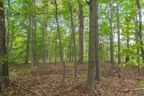 2998 S Good Hbr, Cedar, MI 49621 photo 29