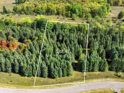 lot16 Lipp Farm, Benzonia, MI 49616