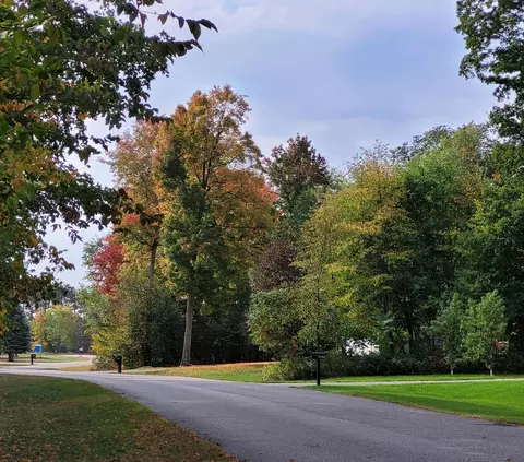 Lot 21 Lipp Farm, Benzonia, MI 49616