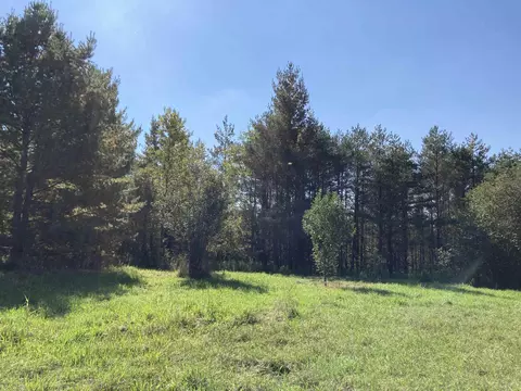 N/a Knepp, Fairview, MI 48621 photo 6