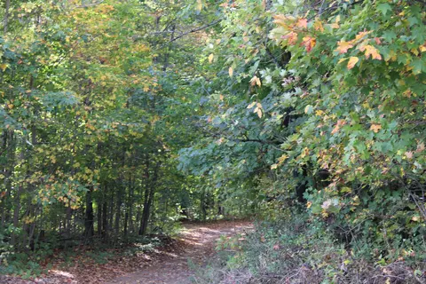 Derry, Alba, MI 49611 photo 16