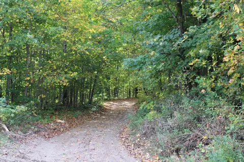 Derry, Alba, MI 49611 photo 34