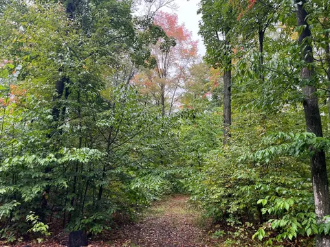 000 Woodsborough, Alden, MI 49612