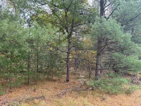00 Rifle Riv, Prescott, MI 48756