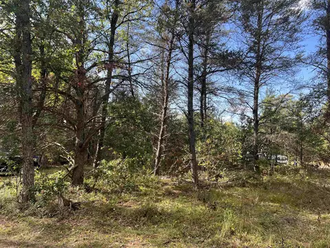 Lot 44 Wobbler, Roscommon, MI 48653