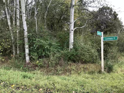 1098 Carmen #LOT : 24, Lake Isabella, MI 48893