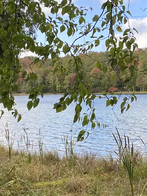 00 Truax Lk #LOT : 42, Williamsburg, MI 49690