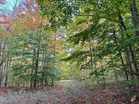 1306 S Weldon, Beulah, MI 49617 photo 10