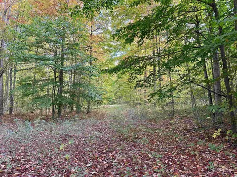 1306 S Weldon, Beulah, MI 49617 photo 11