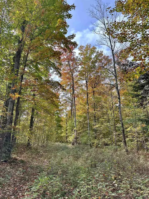 1306 S Weldon, Beulah, MI 49617 photo 13