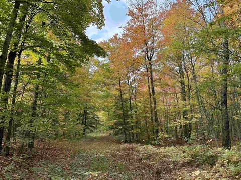1306 S Weldon, Beulah, MI 49617 photo 7