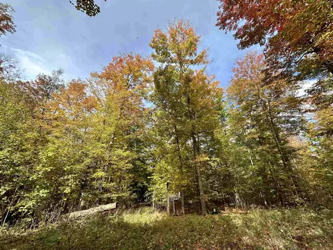 1306 S Weldon, Beulah, MI 49617 photo 9
