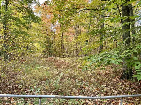 1306 S Weldon, Beulah, MI 49617 photo 5