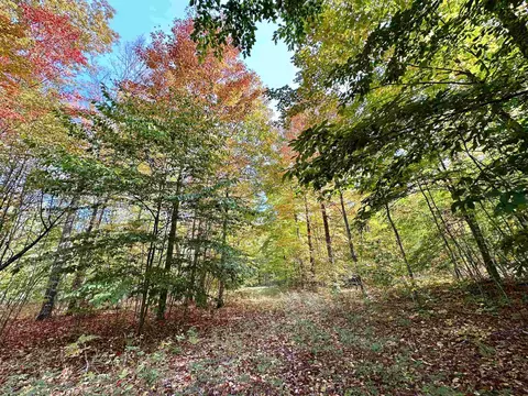 1306 S Weldon, Beulah, MI 49617