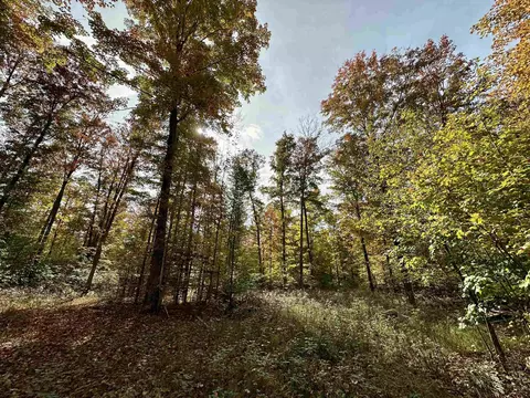1306 S Weldon, Beulah, MI 49617 photo 26