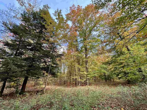 1306 S Weldon, Beulah, MI 49617 photo 28