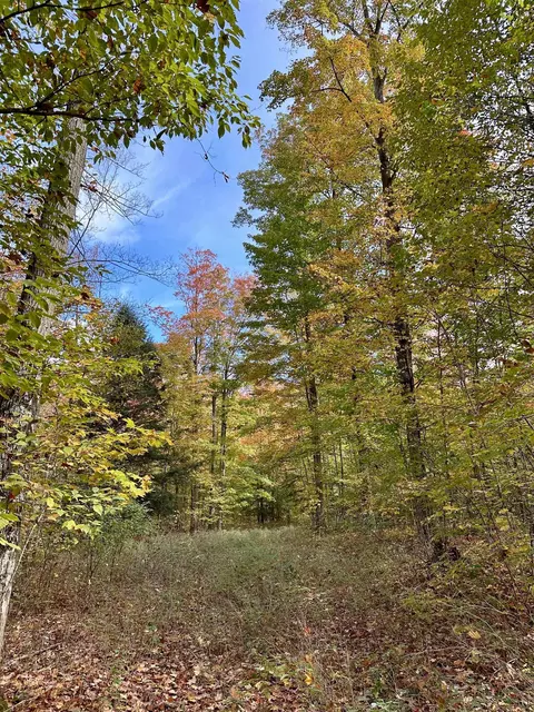 1306 S Weldon, Beulah, MI 49617 photo 16