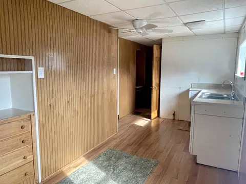 537 Wright, Cadillac, MI 49601 photo 15