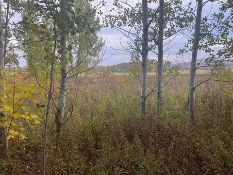 00 E Cherry #LOT : 174, Cedar, MI 49621 photo 2