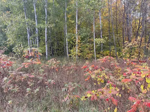 00 E Cherry #LOT : 174, Cedar, MI 49621 photo 7