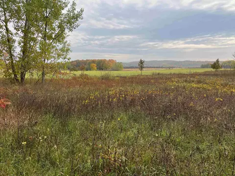 00 E Cherry #LOT : 174, Cedar, MI 49621