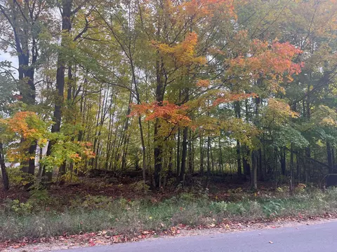 00 E Cherry #LOT : 174, Cedar, MI 49621 photo 3