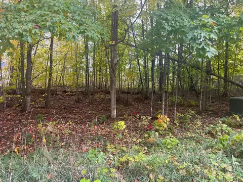 00 E Cherry #LOT : 174, Cedar, MI 49621 photo 4