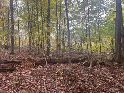 00 E Cherry #LOT : 174, Cedar, MI 49621 photo 5