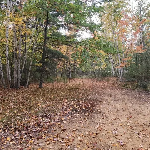 nnn springwood LOT S 0705, Prudenville, MI 48651