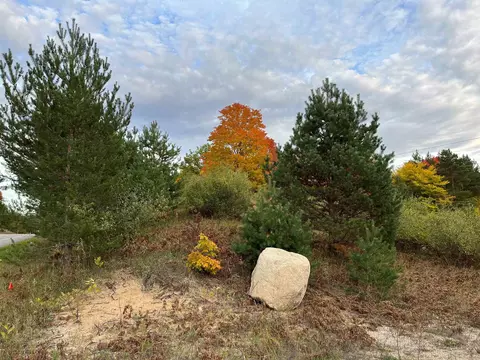 6384 Shanty Crk, Bellaire, MI 49615