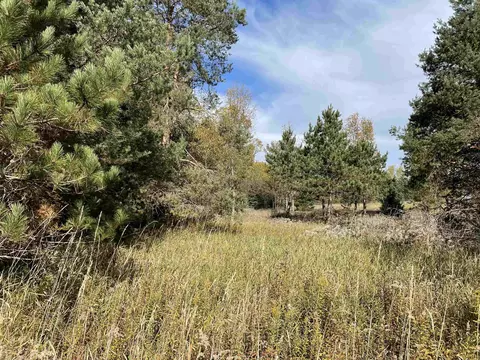 1 8, Manton, MI 49663 photo 26