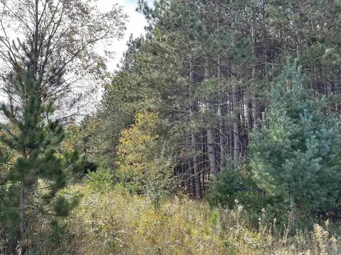 1 8, Manton, MI 49663 photo 7