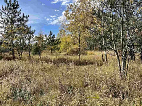 1 8, Manton, MI 49663 photo 24