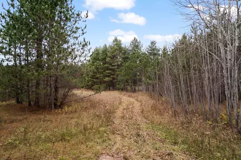 1 8, Manton, MI 49663 photo 72