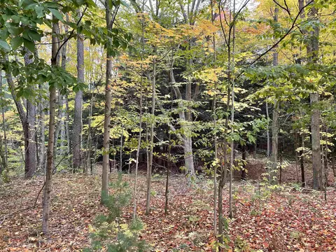1 8, Manton, MI 49663 photo 48