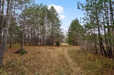 1 8, Manton, MI 49663 photo 70