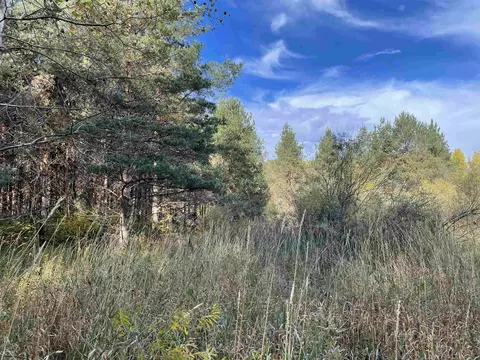 1 8, Manton, MI 49663 photo 33