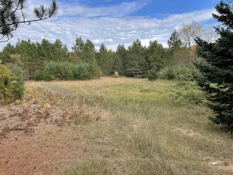 1 8, Manton, MI 49663 photo 51