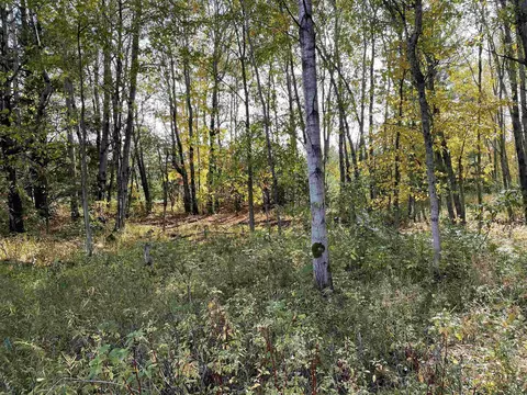 1 8, Manton, MI 49663 photo 34