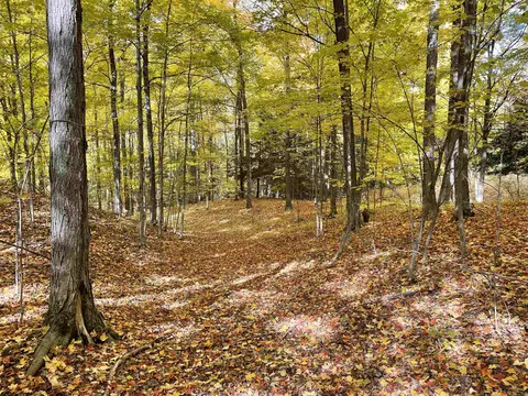 1 8, Manton, MI 49663 photo 42