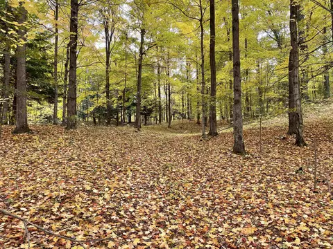1 8, Manton, MI 49663 photo 44
