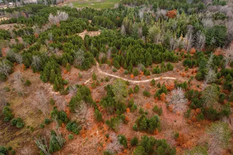 1 8, Manton, MI 49663 photo 64