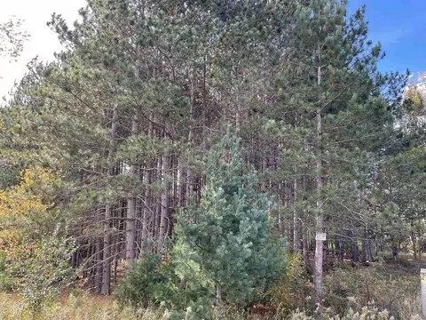 1 8, Manton, MI 49663 photo 8