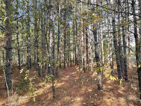 1 8, Manton, MI 49663 photo 10