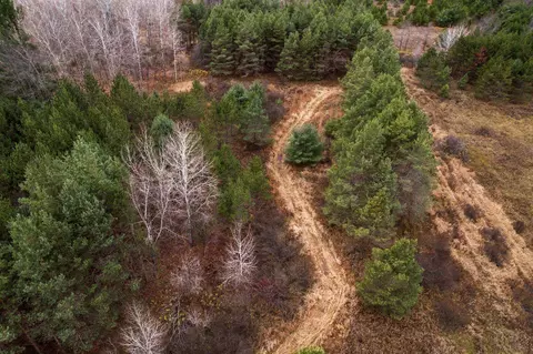 1 8, Manton, MI 49663 photo 56