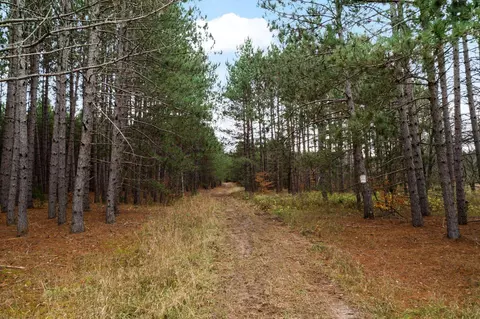 1 8, Manton, MI 49663 photo 71