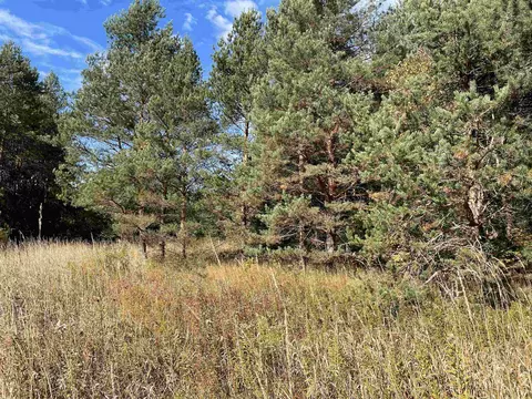 1 8, Manton, MI 49663 photo 27