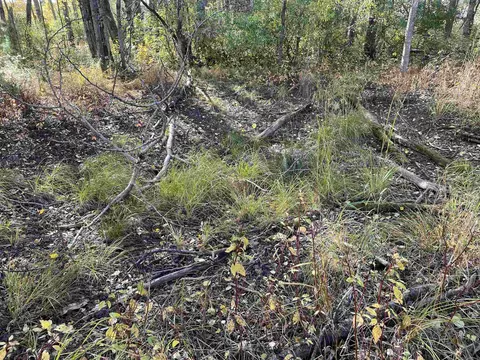 1 8, Manton, MI 49663 photo 36