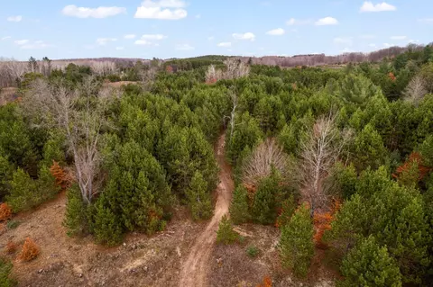 1 8, Manton, MI 49663 photo 65